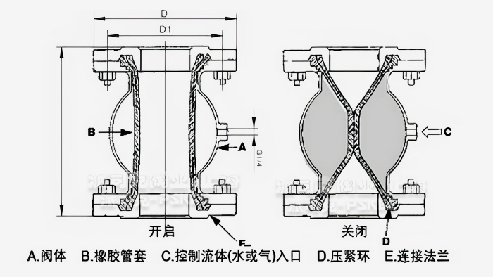 (dng)DyߴD